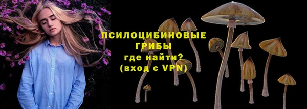 сатива Абдулино
