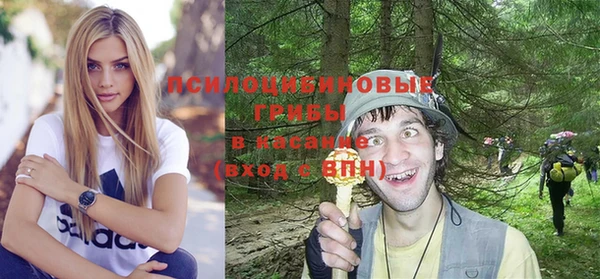 гидра Абинск