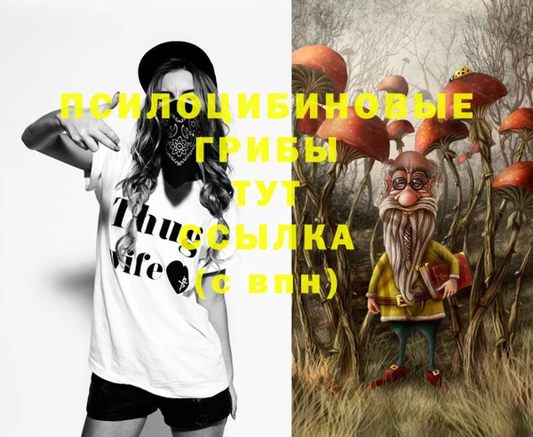 сатива Абдулино