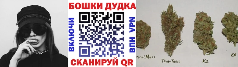 Бошки марихуана семена наркотики Ханты-Мансийск